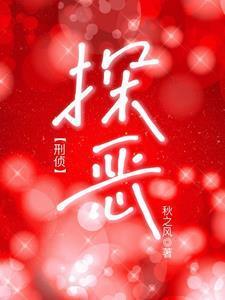 探案的案